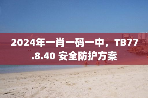 2024年一肖一码一中，TB77.8.40 安全防护方案