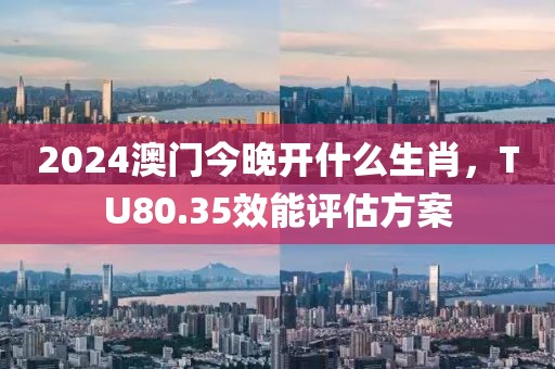 2024澳门今晚开什么生肖，TU80.35效能评估方案