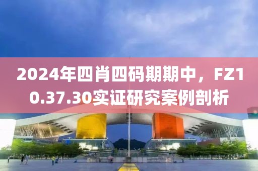 2024年四肖四码期期中，FZ10.37.30实证研究案例剖析