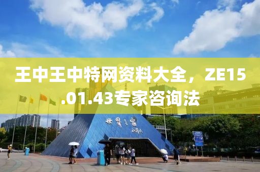 王中王中特网资料大全，ZE15.01.43专家咨询法