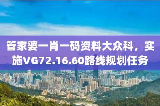 管家婆一肖一码资料大众科，实施VG72.16.60路线规划任务