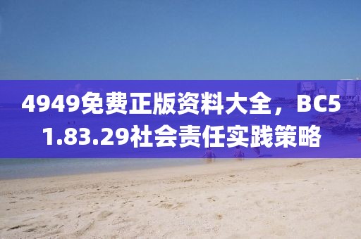 4949免费正版资料大全，BC51.83.29社会责任实践策略