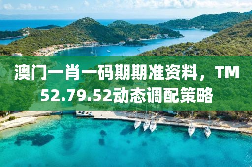 澳门一肖一码期期准资料，TM52.79.52动态调配策略