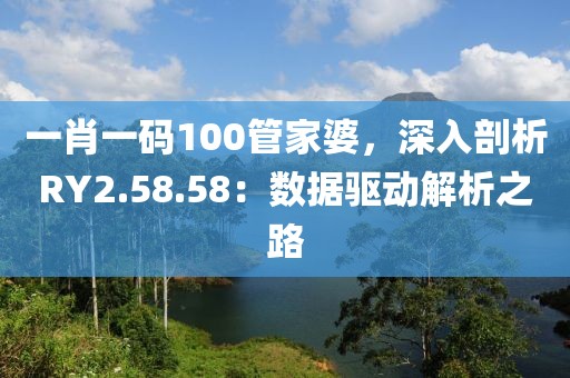 一肖一码100管家婆，深入剖析RY2.58.58：数据驱动解析之路