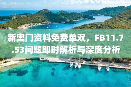 新奥门资料免费单双，FB11.7.53问题即时解析与深度分析