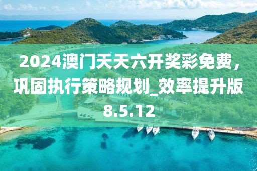 2024澳门天天六开奖彩免费，巩固执行策略规划_效率提升版8.5.12