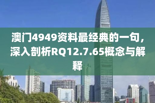 澳门4949资料最经典的一句，深入剖析RQ12.7.65概念与解释