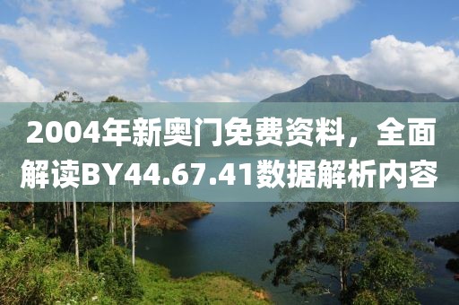 2004年新奥门免费资料，全面解读BY44.67.41数据解析内容