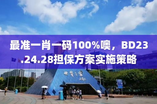 最准一肖一码100%噢，BD23.24.28担保方案实施策略