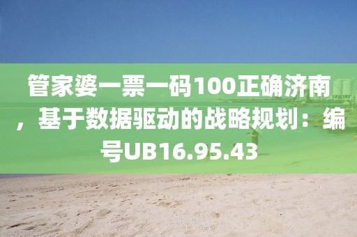 管家婆一票一码100正确济南，基于数据驱动的战略规划：编号UB16.95.43