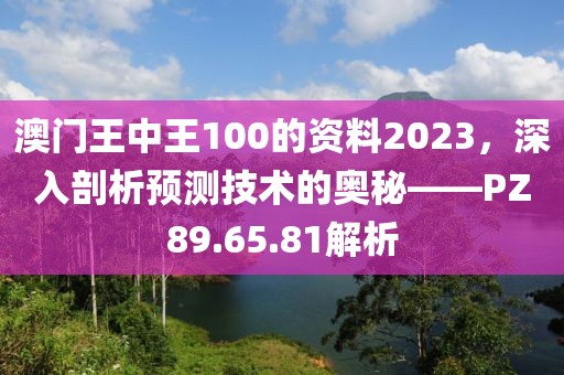 澳门王中王100的资料2023，深入剖析预测技术的奥秘——PZ89.65.81解析