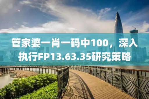 管家婆一肖一码中100，深入执行FP13.63.35研究策略