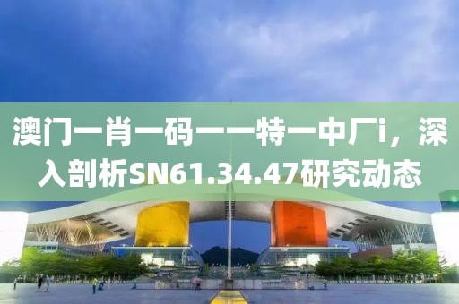 澳门一肖一码一一特一中厂i，深入剖析SN61.34.47研究动态