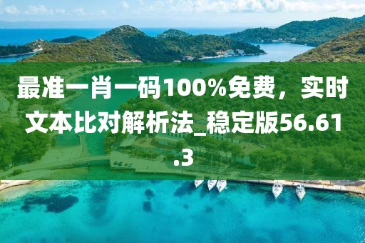 最准一肖一码100%免费，实时文本比对解析法_稳定版56.61.3