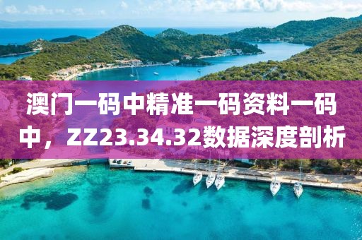 澳门一码中精准一码资料一码中，ZZ23.34.32数据深度剖析
