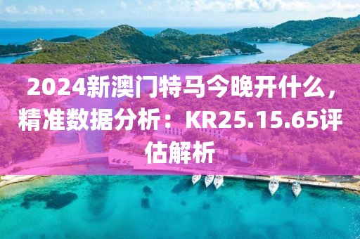2024新澳门特马今晚开什么，精准数据分析：KR25.15.65评估解析