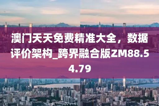 澳门天天免费精准大全，数据评价架构_跨界融合版ZM88.54.79
