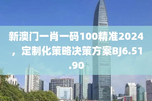 新澳门一肖一码100精准2024，定制化策略决策方案BJ6.51.90
