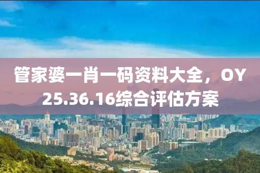 管家婆一肖一码资料大全，OY25.36.16综合评估方案