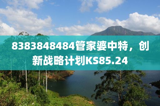 8383848484管家婆中特，创新战略计划KS85.24