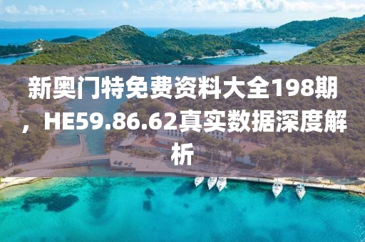 新奥门特免费资料大全198期，HE59.86.62真实数据深度解析