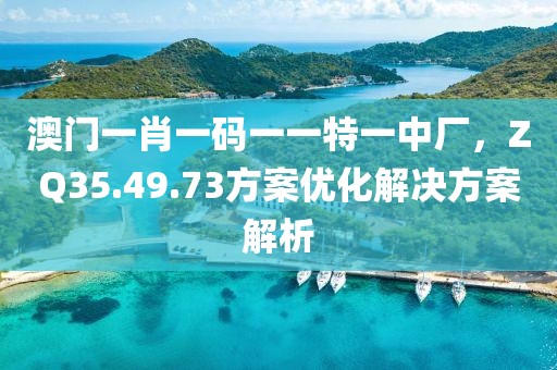 澳门一肖一码一一特一中厂，ZQ35.49.73方案优化解决方案解析
