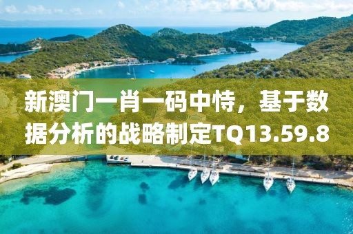 新澳门一肖一码中恃，基于数据分析的战略制定TQ13.59.80