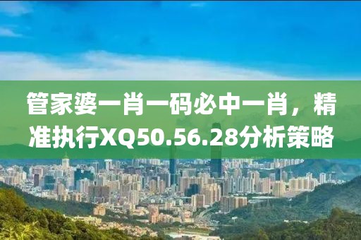 管家婆一肖一码必中一肖，精准执行XQ50.56.28分析策略
