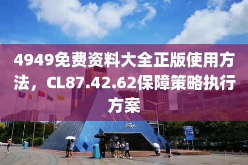 4949免费资料大全正版使用方法，CL87.42.62保障策略执行方案