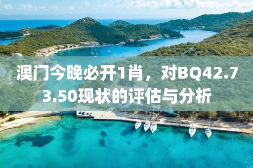 澳门今晚必开1肖，对BQ42.73.50现状的评估与分析