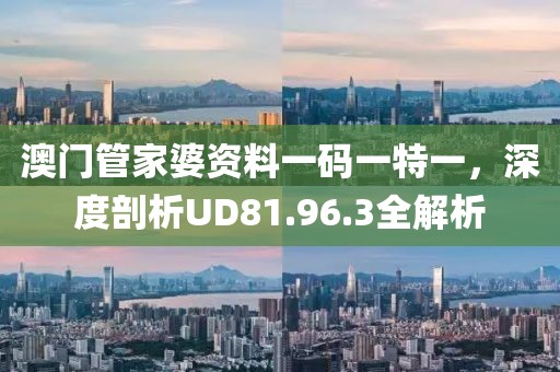 澳门管家婆资料一码一特一，深度剖析UD81.96.3全解析