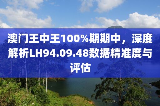 澳门王中王100%期期中，深度解析LH94.09.48数据精准度与评估