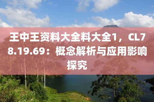 王中王资料大全料大全1，CL78.19.69：概念解析与应用影响探究