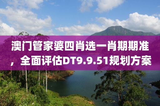 澳门管家婆四肖选一肖期期准，全面评估DT9.9.51规划方案