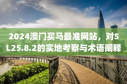 2024澳门买马最准网站，对SL25.8.2的实地考察与术语阐释