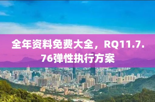 全年资料免费大全，RQ11.7.76弹性执行方案