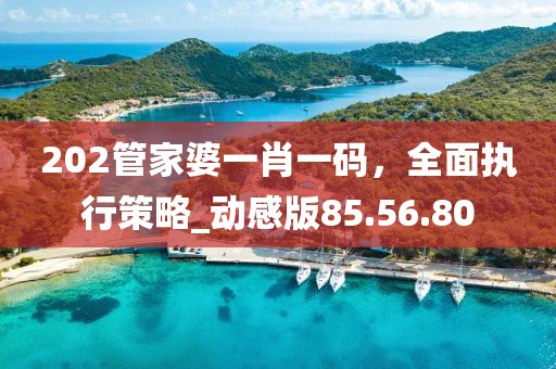 202管家婆一肖一码，全面执行策略_动感版85.56.80