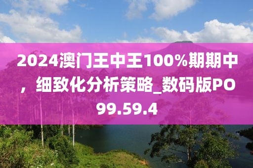 2024澳门王中王100%期期中，细致化分析策略_数码版PO99.59.4
