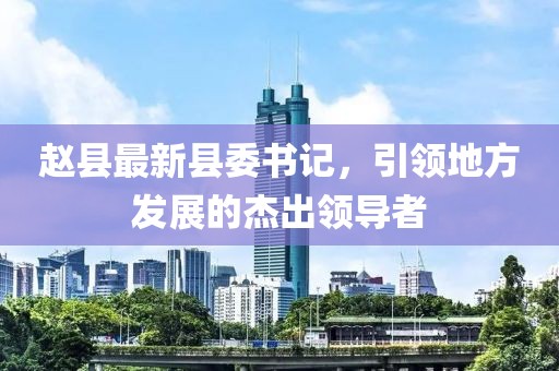 赵县最新县委书记，引领地方发展的杰出领导者