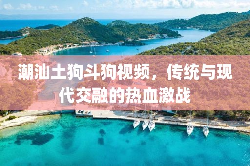 潮汕土狗斗狗视频，传统与现代交融的热血激战