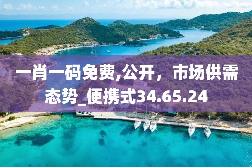 一肖一码免费,公开，市场供需态势_便携式34.65.24
