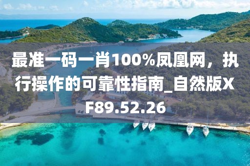 最准一码一肖100%凤凰网，执行操作的可靠性指南_自然版XF89.52.26