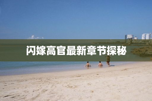 闪嫁高官最新章节探秘