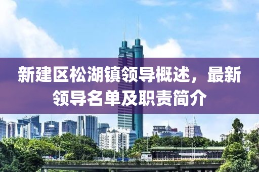 新建区松湖镇领导概述，最新领导名单及职责简介