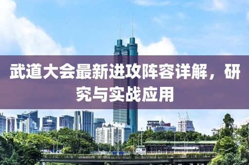 武道大会最新进攻阵容详解，研究与实战应用