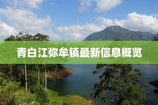 青白江弥牟镇最新信息概览