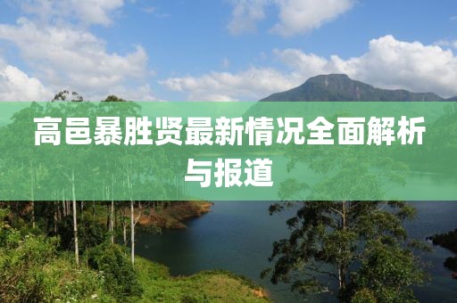高邑暴胜贤最新情况全面解析与报道