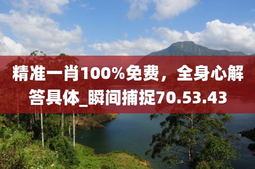 精准一肖100%免费，全身心解答具体_瞬间捕捉70.53.43