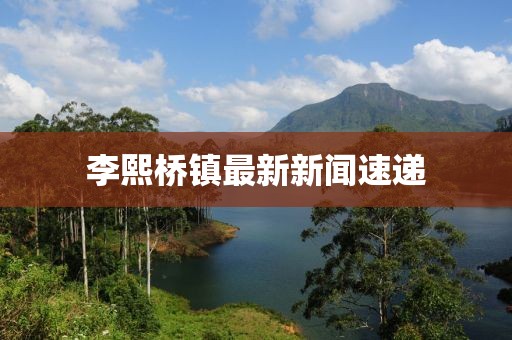 李熙桥镇最新新闻速递