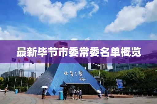 最新毕节市委常委名单概览